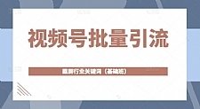 视频号批量引流，霸屏行业关键词（基础班）全面系统讲解视频号玩法